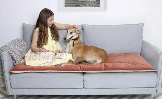 Private Renters Deserve Pets Too! By Kelly Grehan